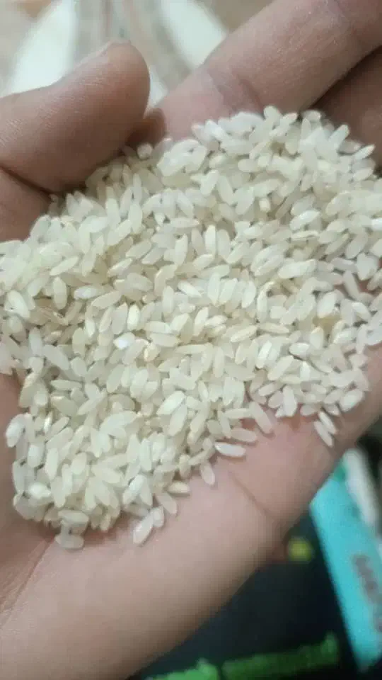 برنج کامفیروزی|خوردنی و آشامیدنی|مرودشت, ثبت احوال|دیوار