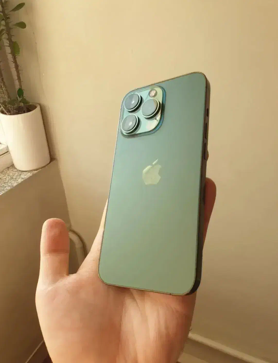 آیفون ۱۳ پرو 256|موبایل|شیراز, قدوسی شرقی|دیوار