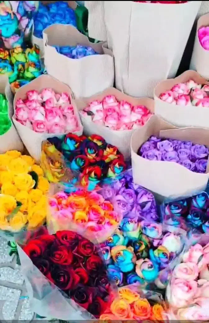 گل رز طبیعی ونرگس|گل و گیاه طبیعی|بندرعباس, |دیوار