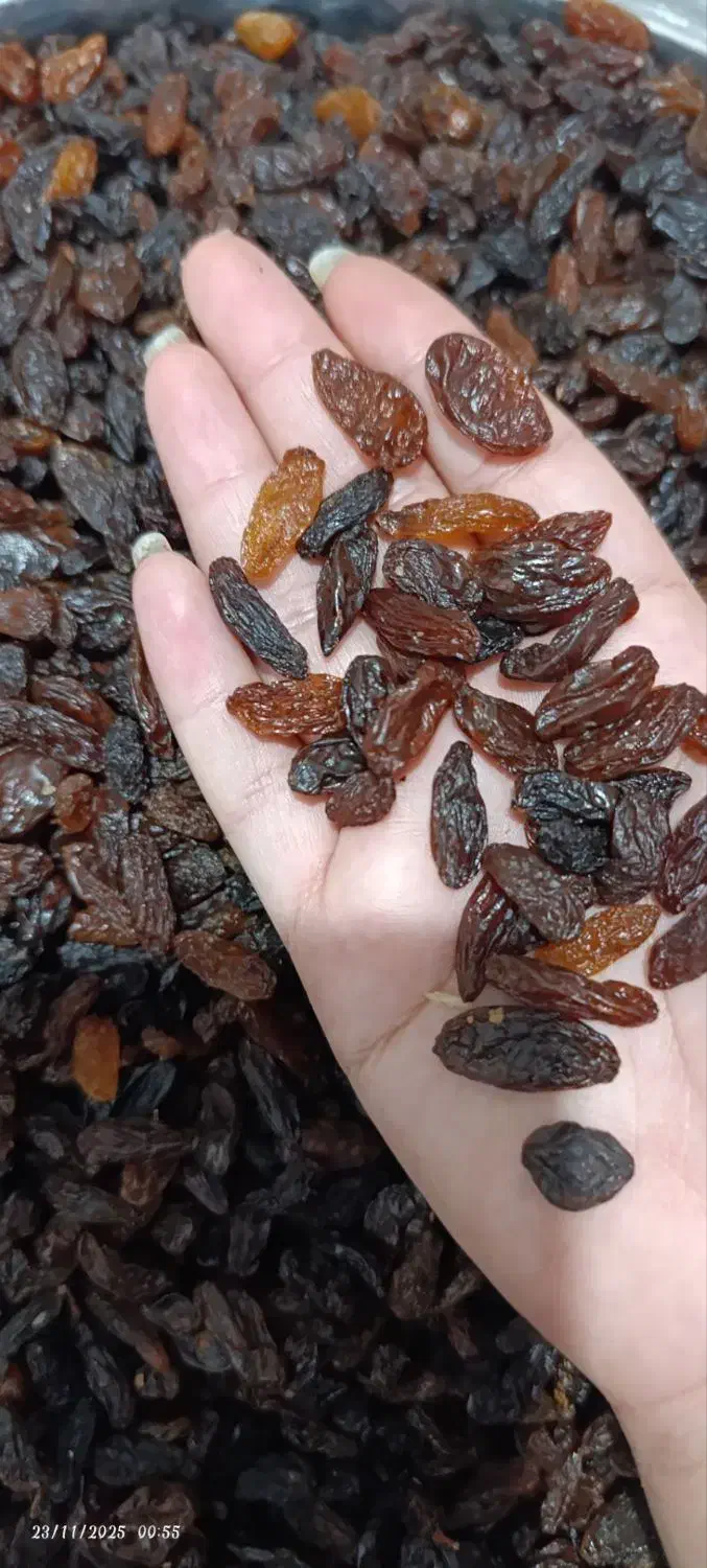 کشمش آفتابی درجه یک محصول کاشمر|خوردنی و آشامیدنی|اسلامشهر, شهرک مصطفی خمینی|دیوار