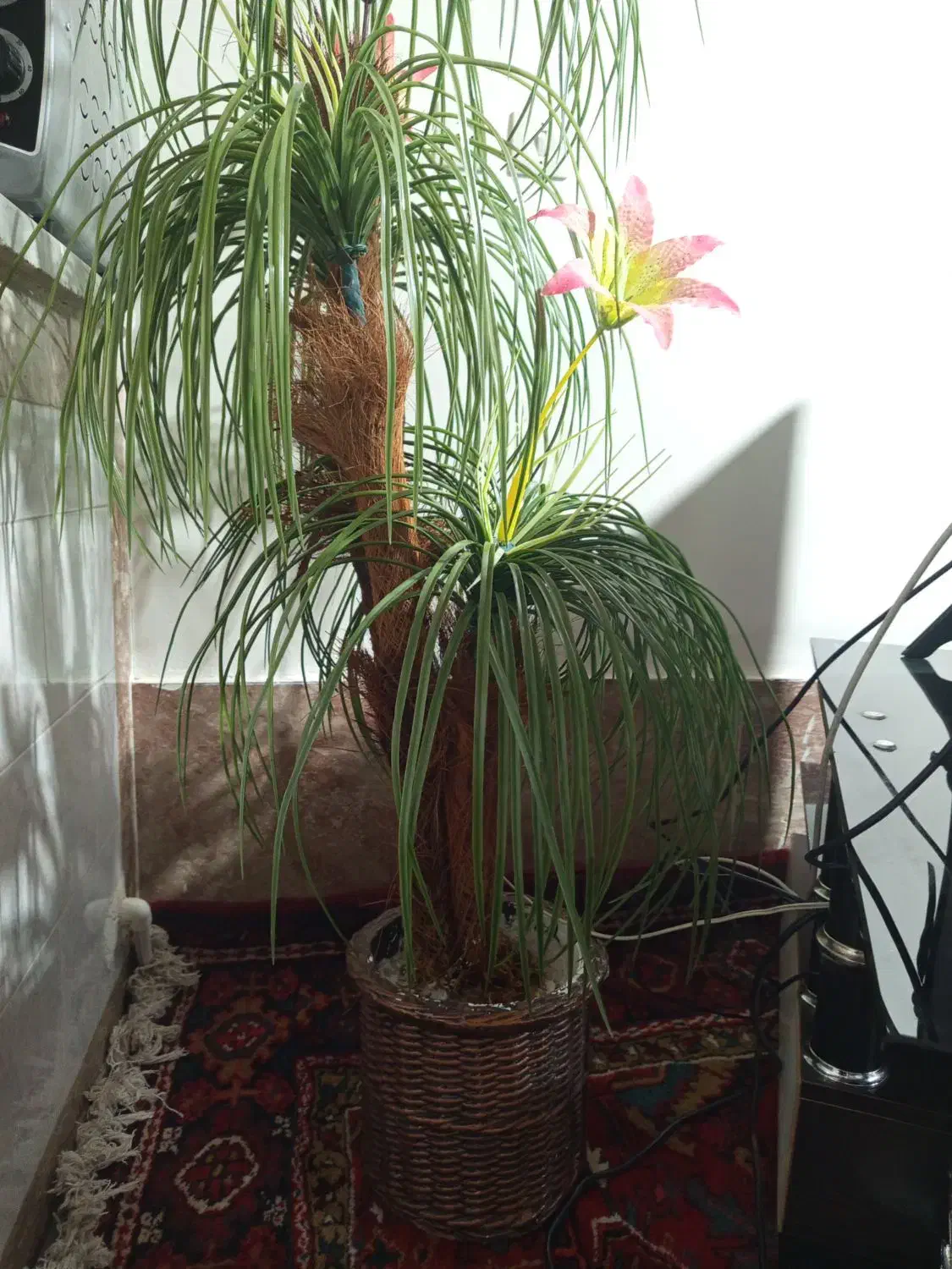 نخل مصنوعی|گل مصنوعی|بناب, |دیوار