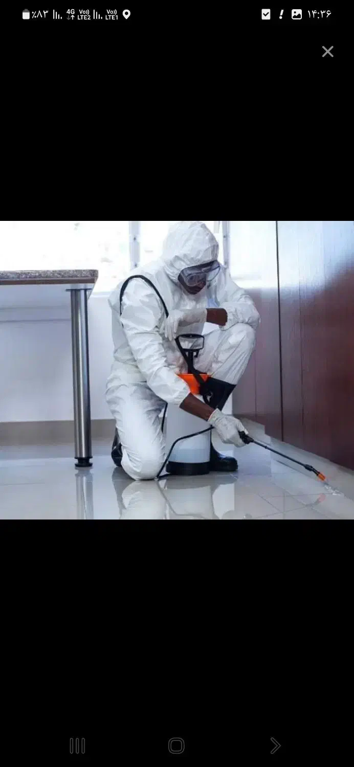 سم پاشی حشرات و جانوران موذی شبانه روزی|خدمات نظافت|چالوس, |دیوار