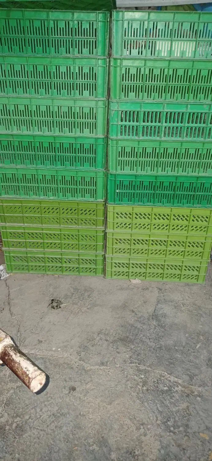 سبد جامیوه|ظروف نگهدارنده، پلاستیکی، یک‌بارمصرف|شوشتر, |دیوار