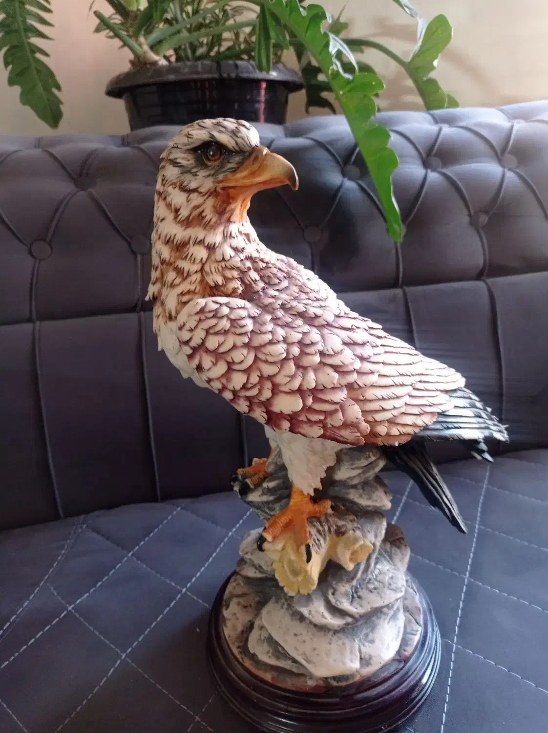 مجسمه فایبر گلس تزیینی شاهین|مجسمه، تندیس، ماکت|کرج, فاز ۱ مهرشهر|دیوار