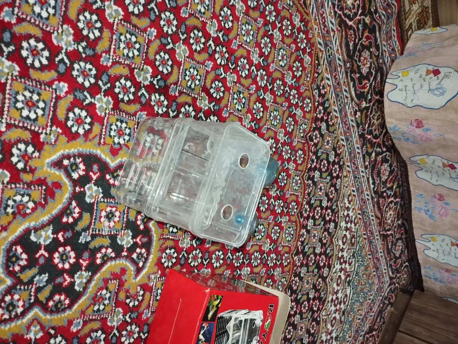 اکواریوم شیشه خم|ماهی|رباط‌کریم, شترخوار|دیوار