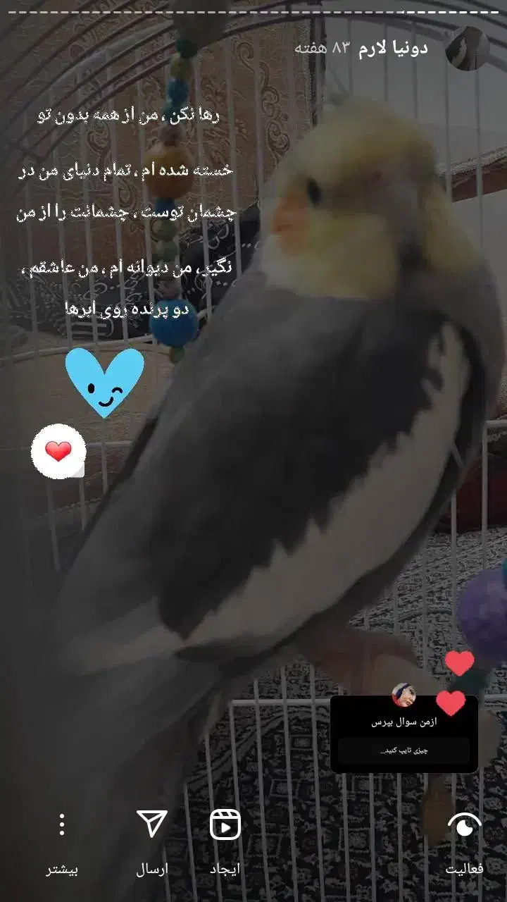 خواهش میکنم به خودم برگردونین|حیوانات|اردبیل, |دیوار