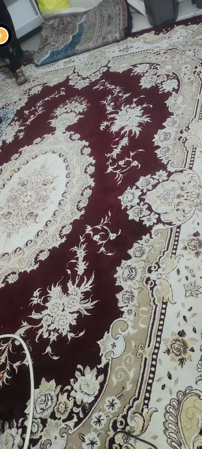 قالی ۱۲متری قرمز|فرش|شهرکرد, |دیوار