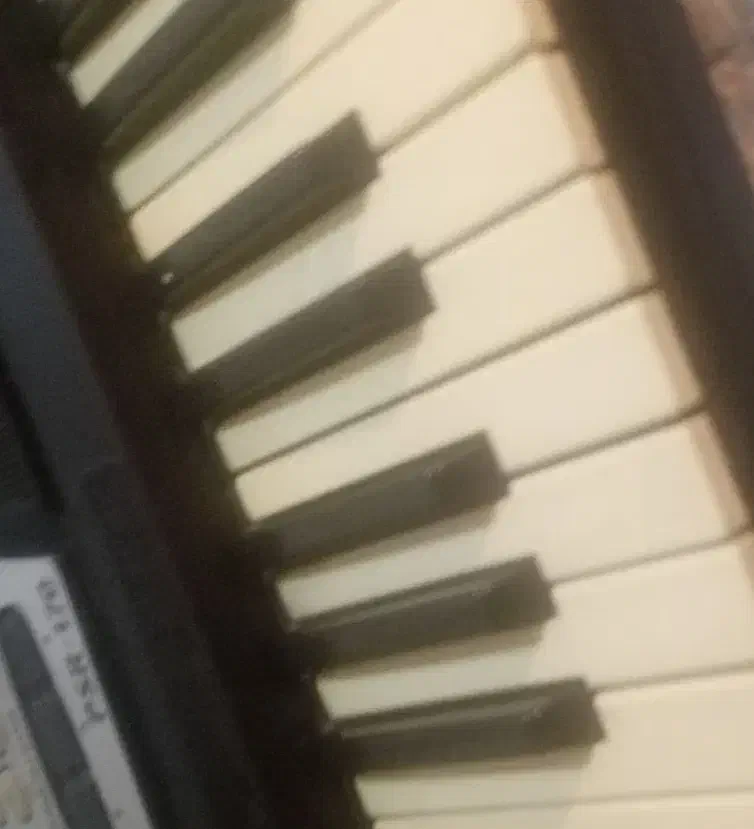 ارگ یاماها|پیانو، کیبورد، آکاردئون|تهران, سازمان آب|دیوار