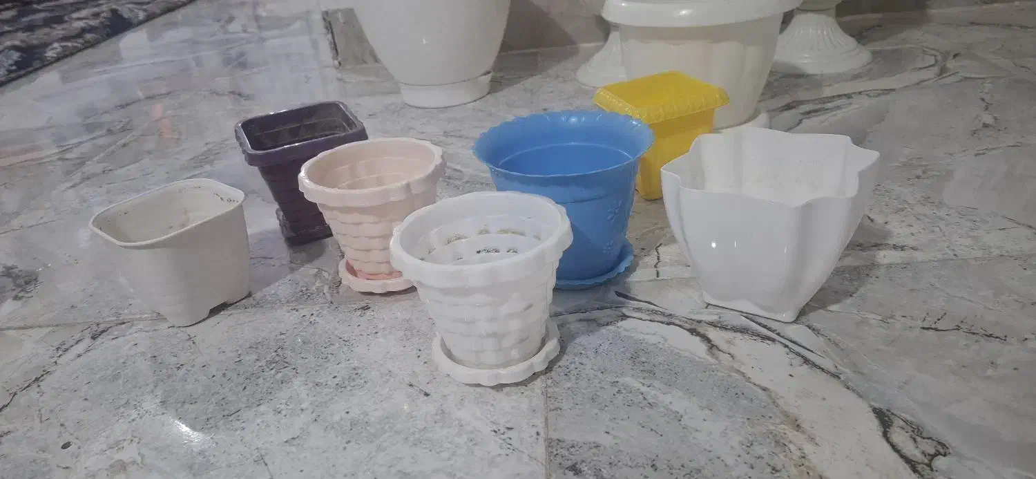 گلدان پلاستیکی گل طبیعی|گل و گیاه طبیعی|رباط‌کریم, نصیرشهر|دیوار