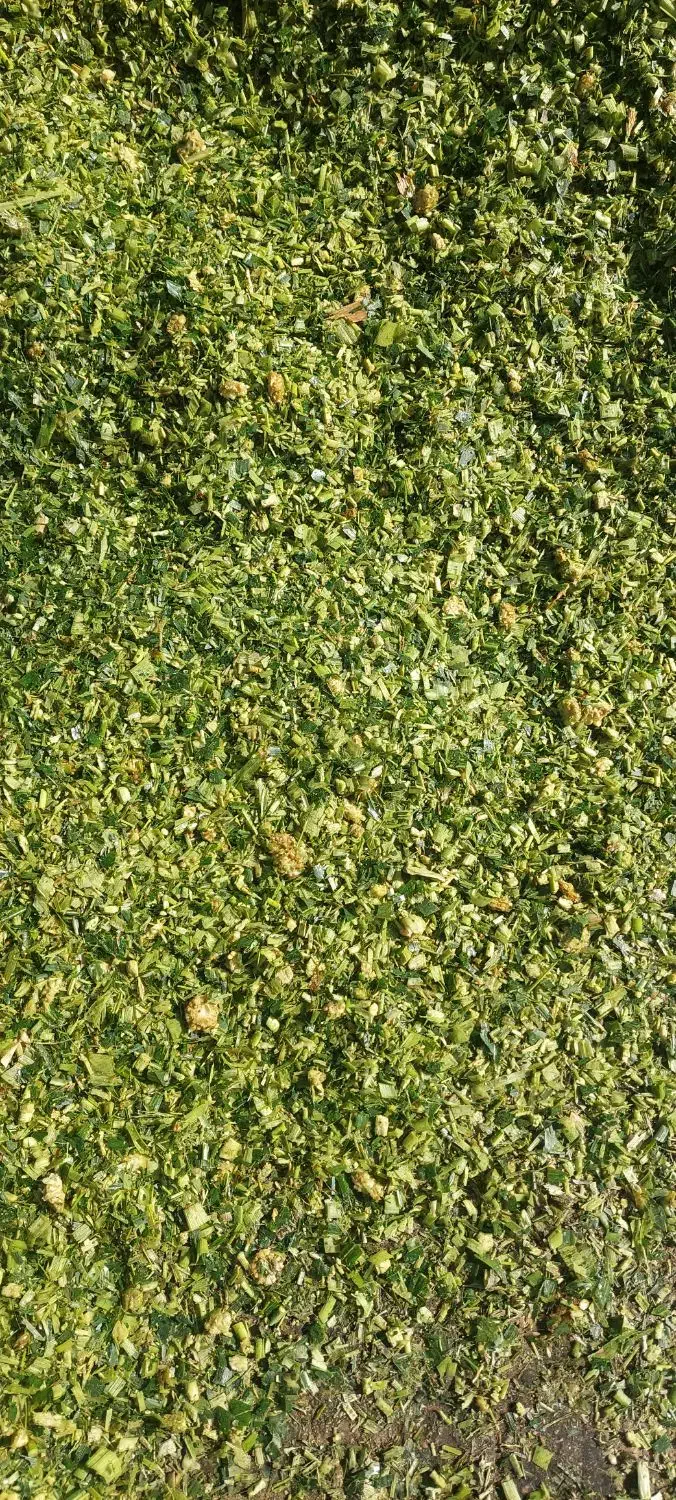 ذرت علوفه دامی کیلو ۴۵۰۰|عمده‌فروشی|هلالی, |دیوار