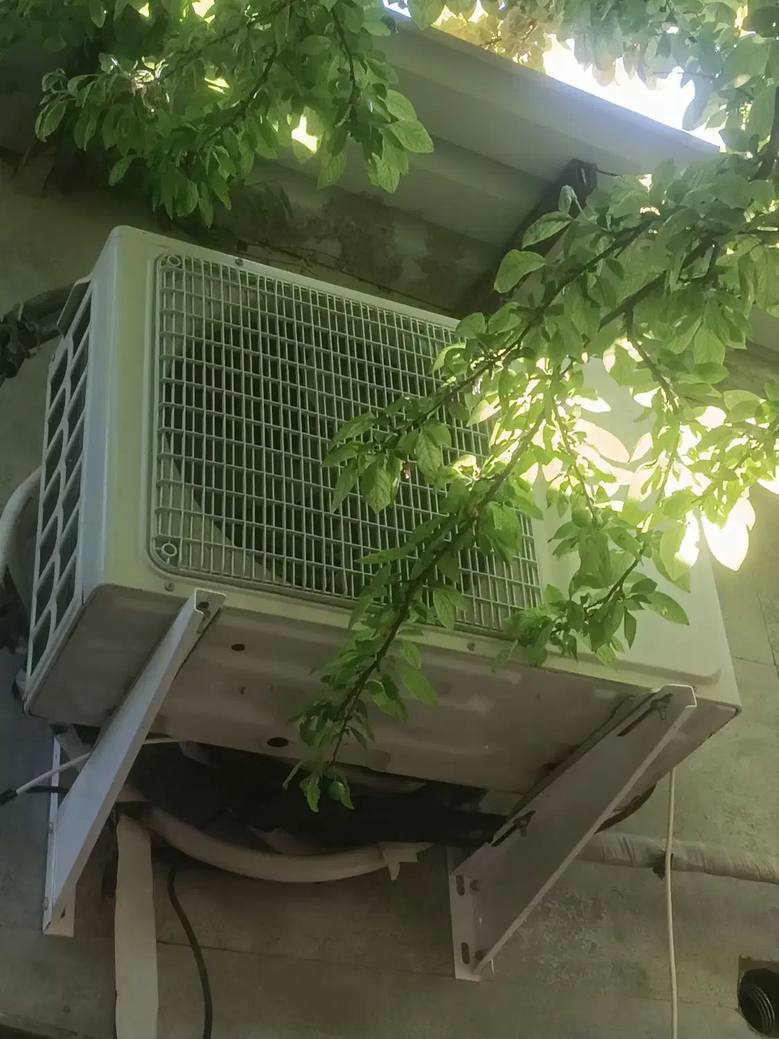 فروش باغ ویلا استخر دار نوساز|فروش خانه و ویلا|ملارد, |دیوار