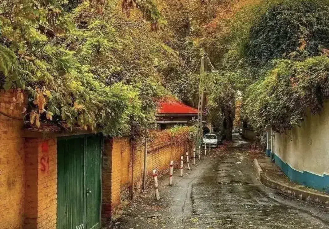 گردش|فعالیت داوطلبانه|قم, انسجام|دیوار