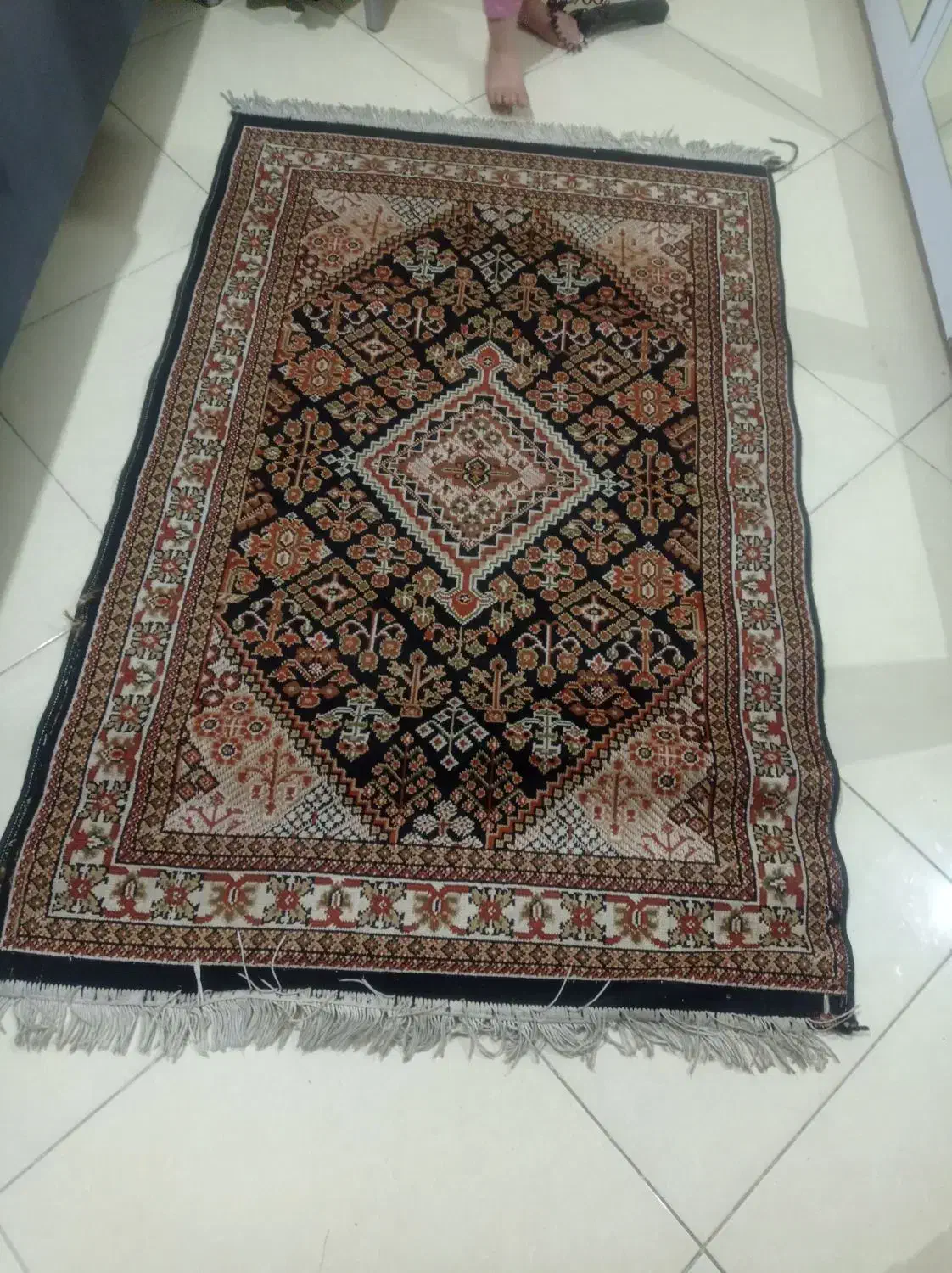 دوتا قالیچه|فرش|مشهد, رستگار|دیوار