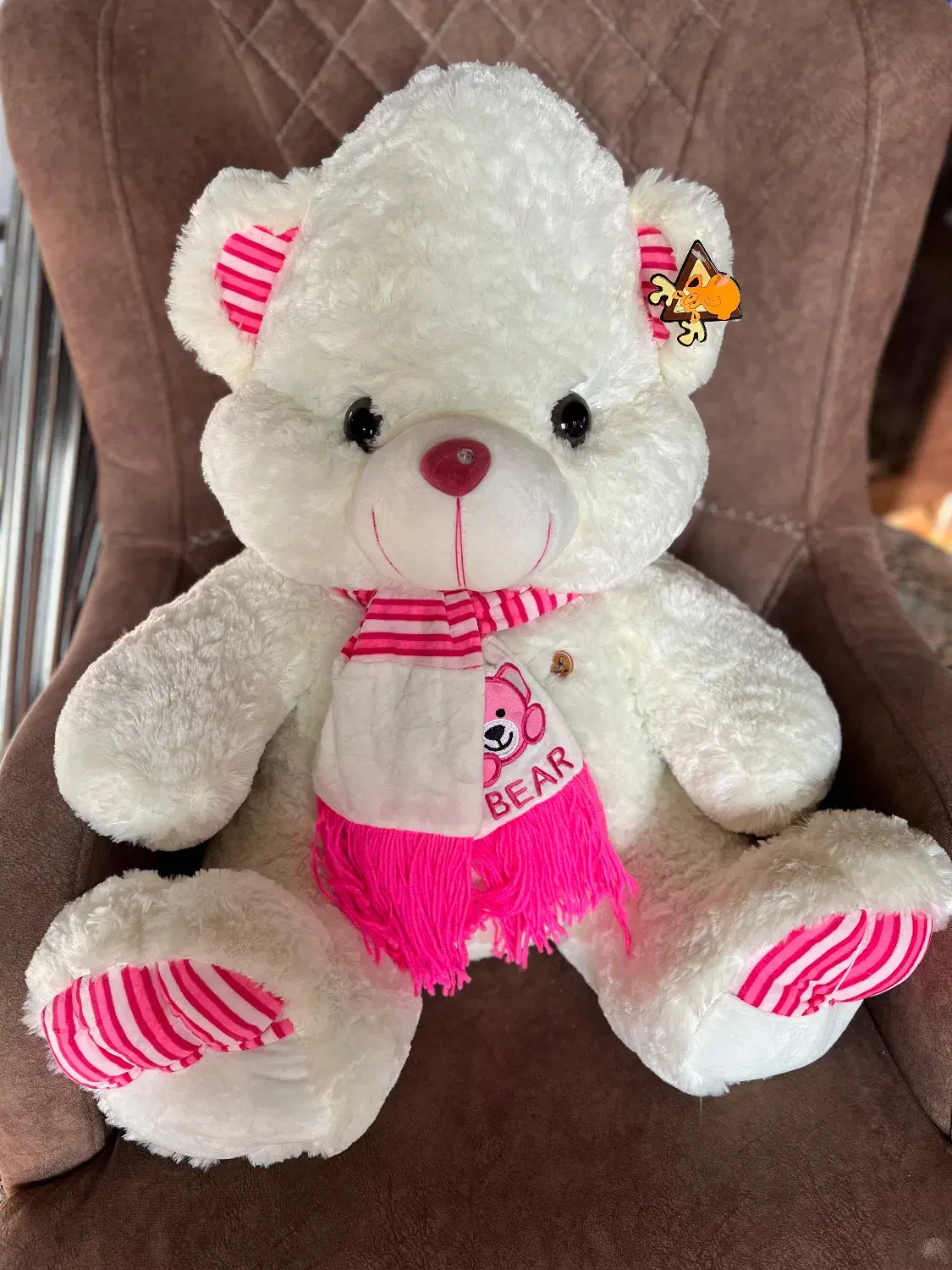 عروسک خرسی|اسباب‌بازی بچه|آستارا, |دیوار