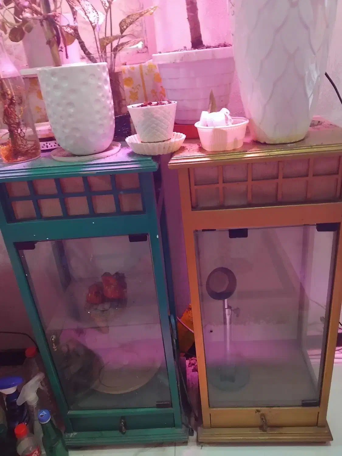 دکوری سه عدد|بوفه، ویترین، کنسول|اهواز, سپیدار|دیوار