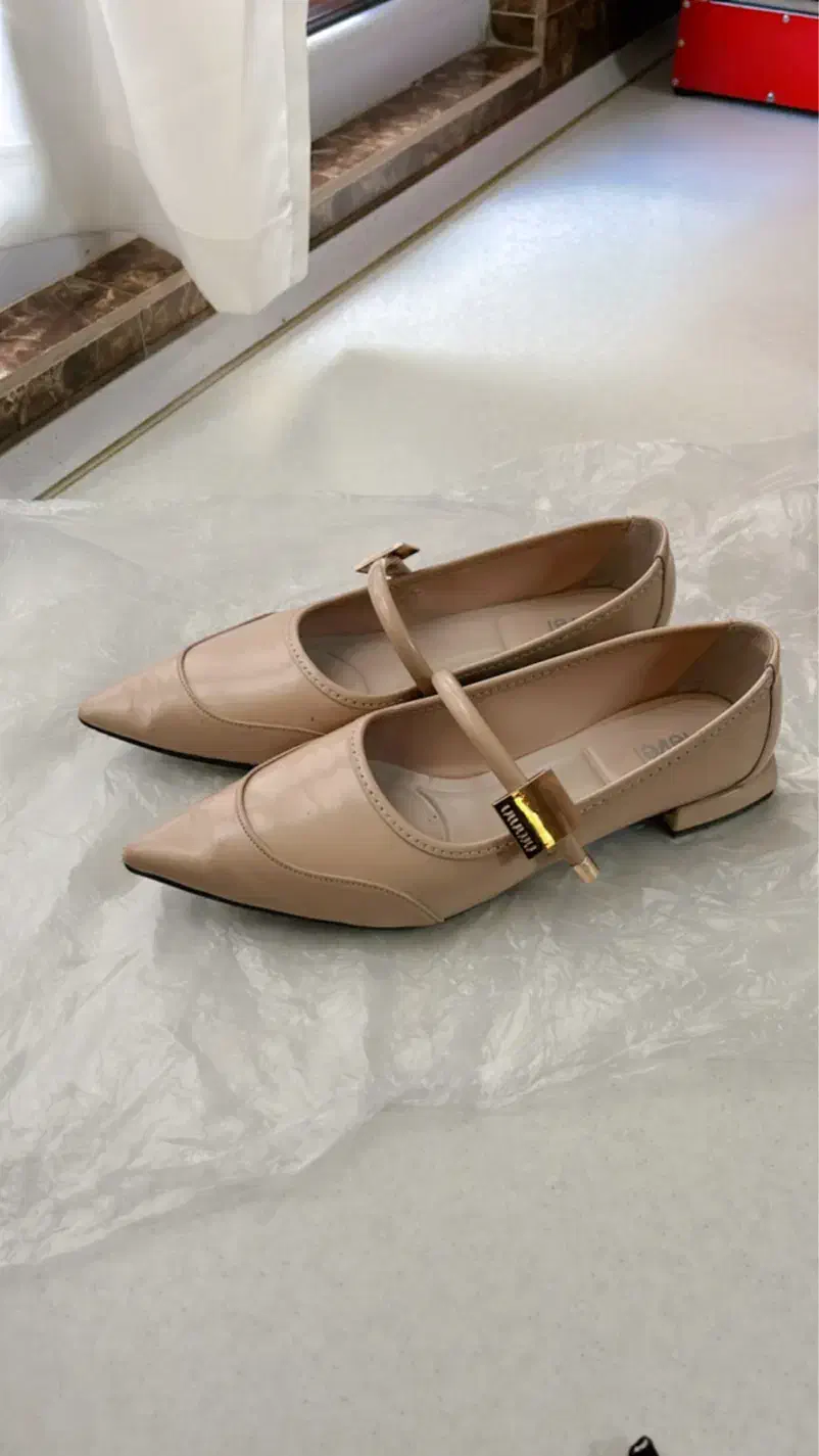 کیف و کفش|کیف، کفش، کمربند|اردبیل, |دیوار