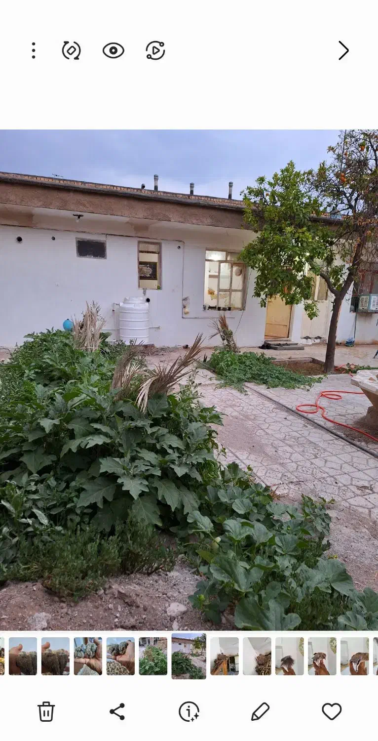 خانه کلنگی ۲۸۰ متر|فروش خانه و ویلا|سروستان, |دیوار