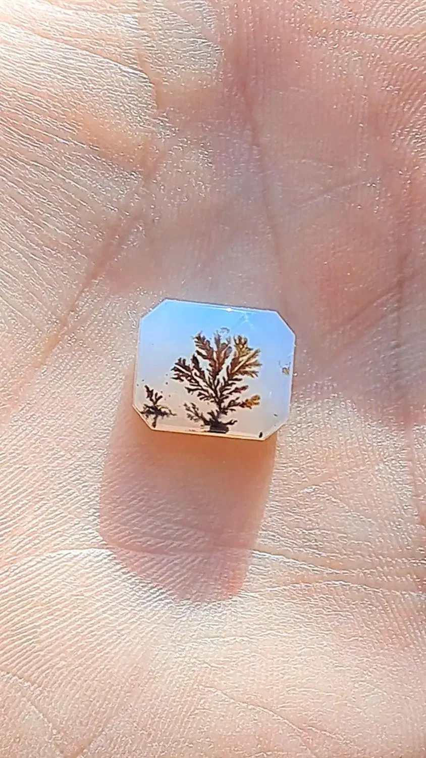 چهار عدد سنگ شجر قائنات|جواهرات|قم, علی آباد|دیوار