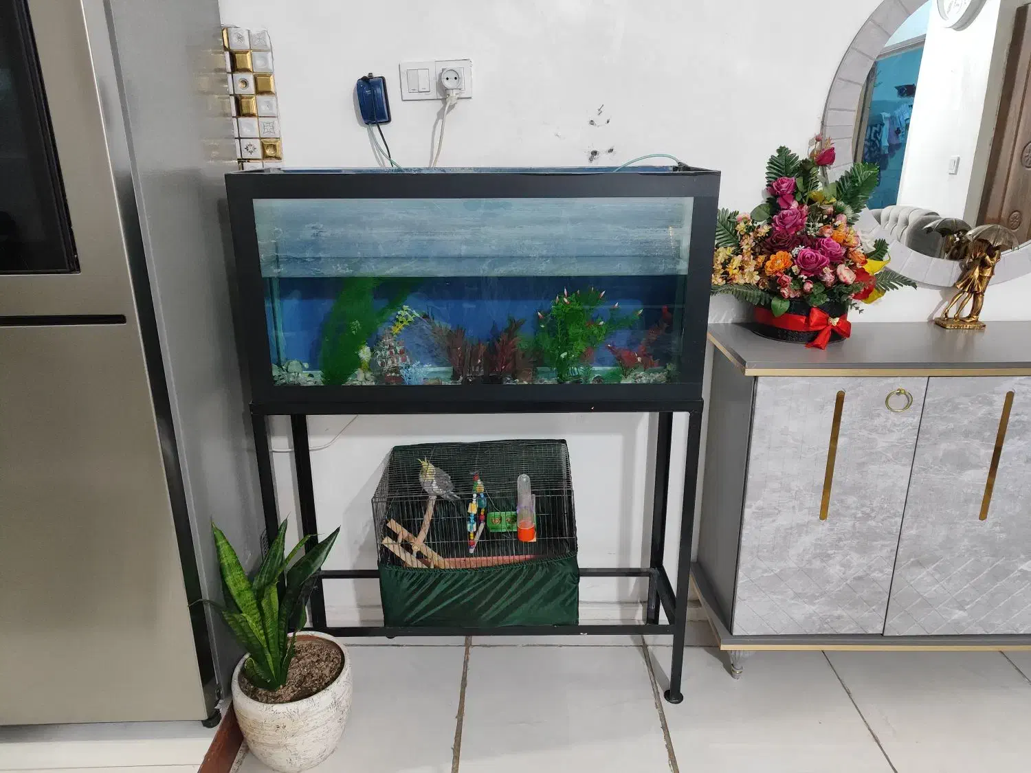 اکواریوم|ماهی|الوند, |دیوار