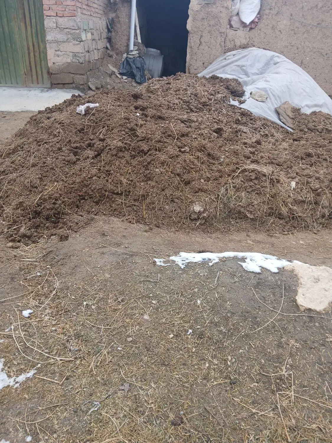 پهن خیس گاو|لوازم جانبی حیوانات|نوشین شهر, |دیوار