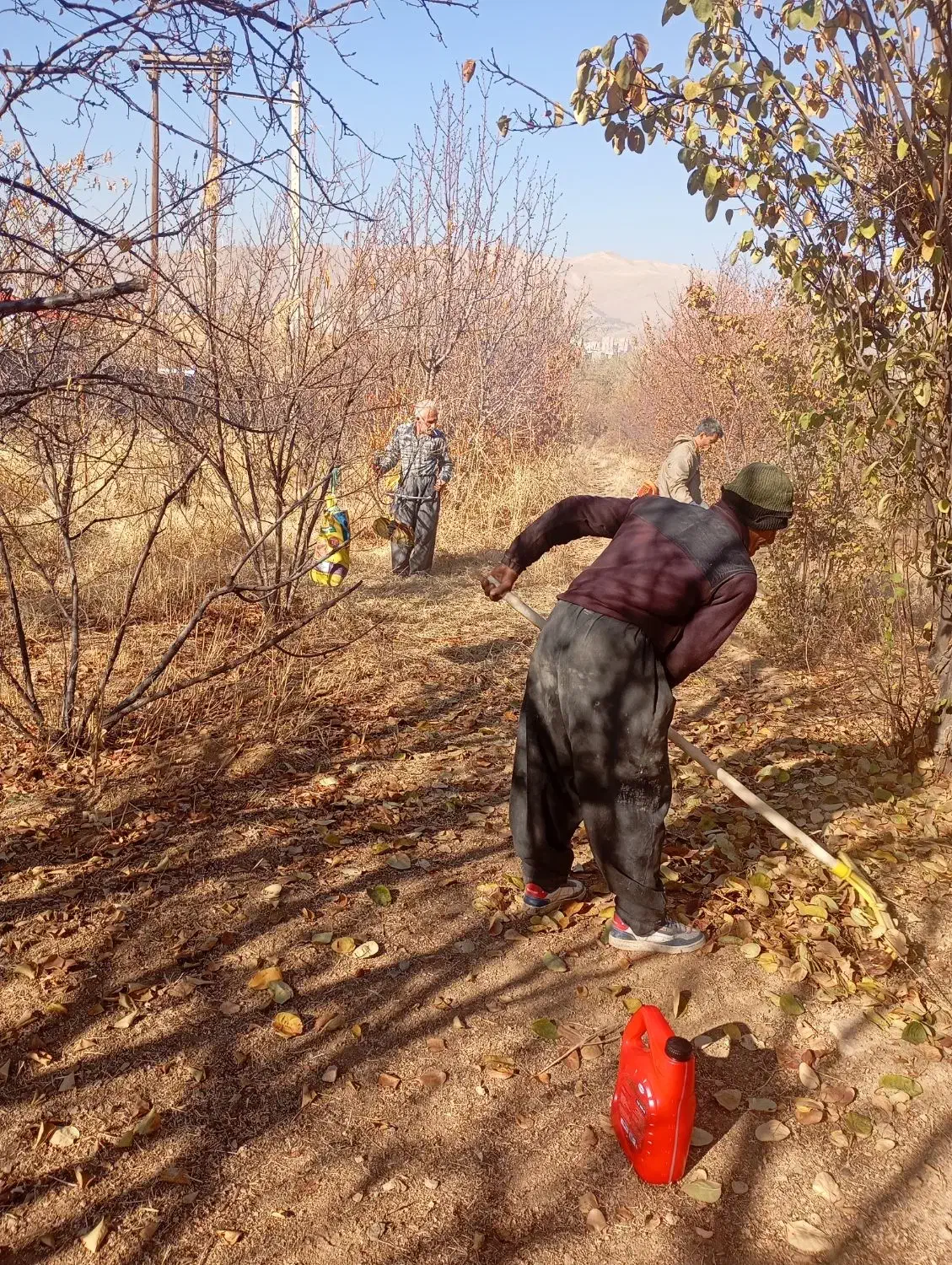 خدمات کشاورزی  با انصاف تیلر سم پاش هرس چال کود|خدمات باغبانی و درختکاری|سنندج, |دیوار