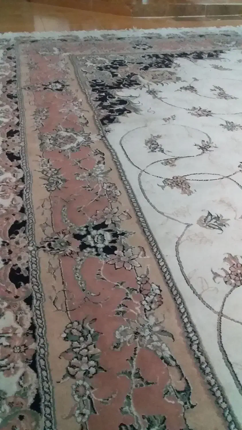 فروش فرش|فرش|کردکوی, |دیوار