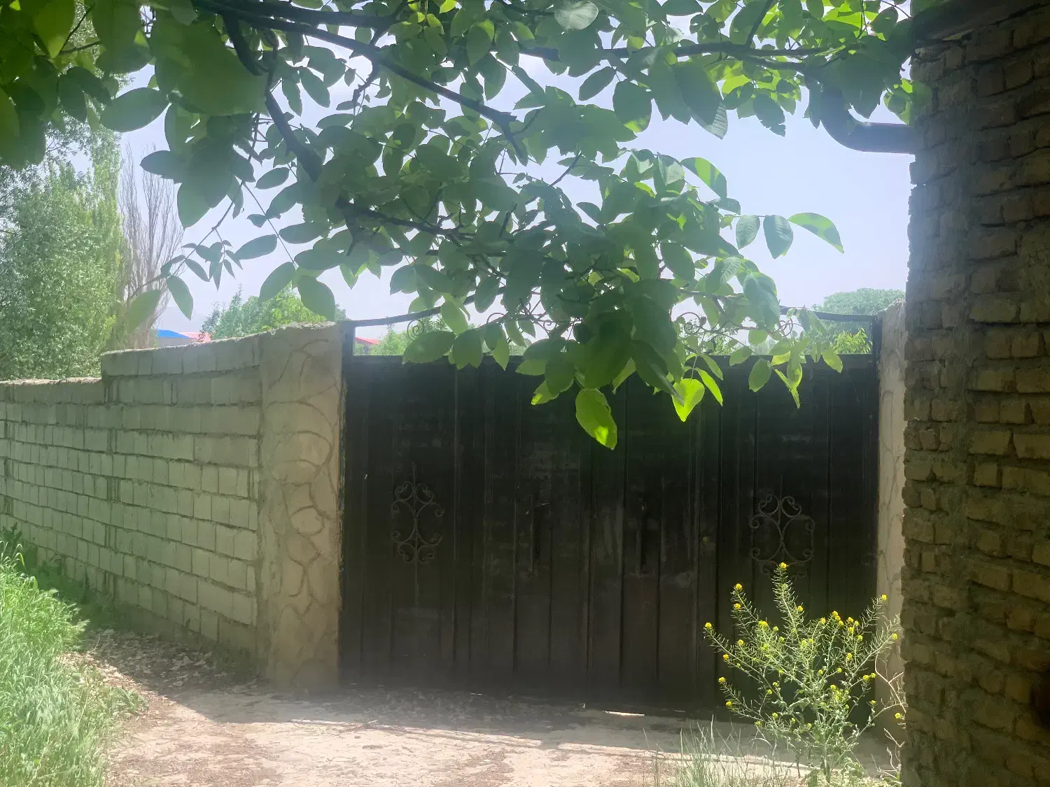 باغ ( سند ششدانگ ) جاده تهران|فروش دفتر صنعتی، کشاورزی، تجاری|تبریز, |دیوار