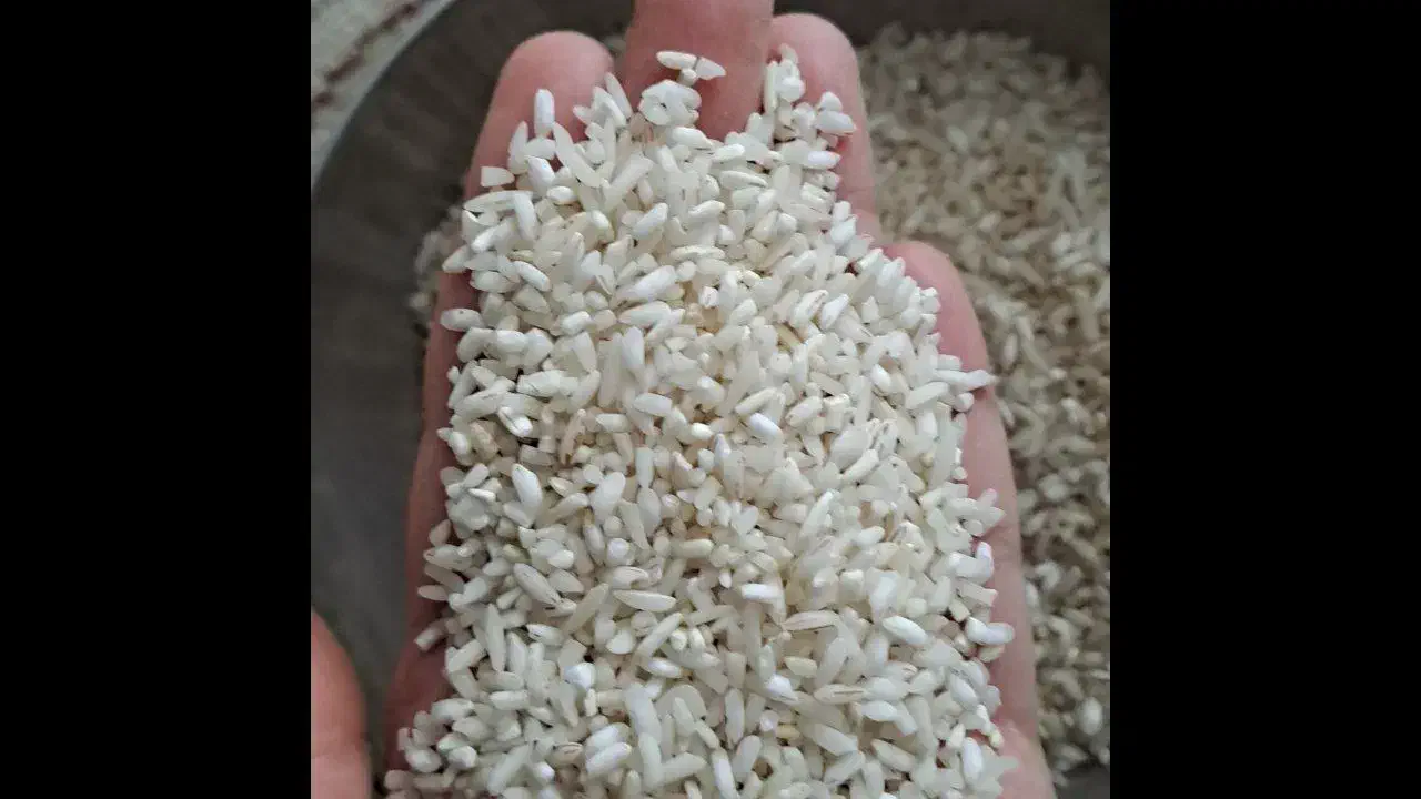 برنج سالم و لاشه طارم درشت|خوردنی و آشامیدنی|مشهد, نرگس (شهرک غرب)|دیوار