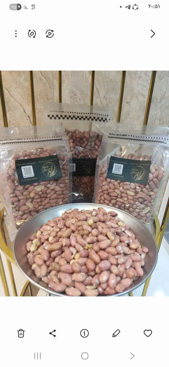 بادام زمینی آستانه اشرفیه|عمده‌فروشی|آستانه اشرفیه, |دیوار