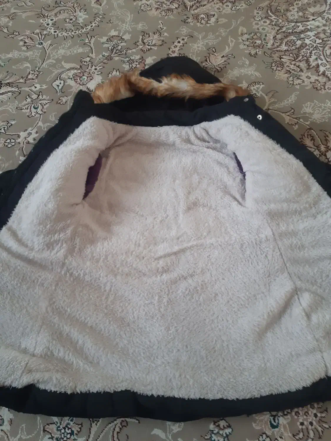 کاپشن دخترانه|کفش و لباس بچه|بانه, |دیوار