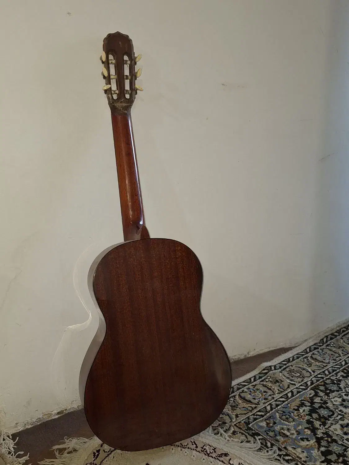 گیتار آریا ak 80، Aria Ak80|گیتار، بیس، امپلیفایر|مشهد, استاد یوسفی (شهرک غرب)|دیوار