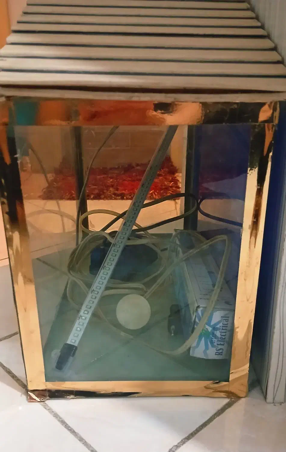 آکواریوم|ماهی|احمدآبادمستوفی, |دیوار