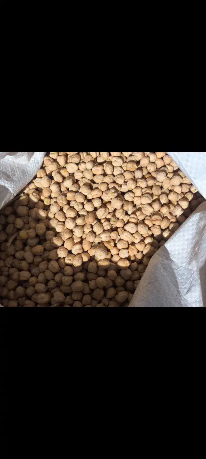 فروش نخود ده تن|خوردنی و آشامیدنی|سردرود, |دیوار