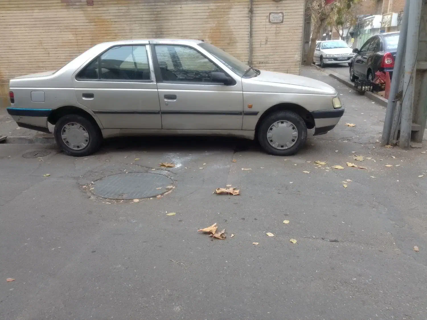 405 سقف ستون شاسی سالم تک برگ سند|خودرو سواری و وانت|تهران, دستغیب|دیوار