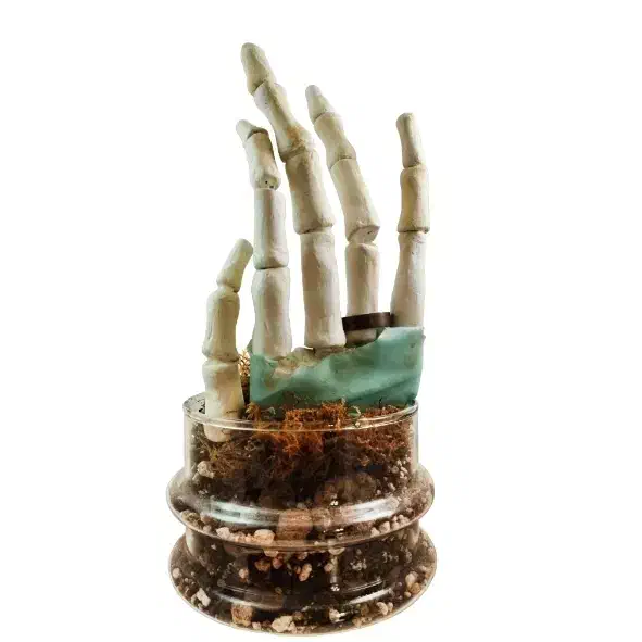 مجسمه دست ساز انیمیشن عروس مردگان|مجسمه، تندیس، ماکت|تهران, تهران‌نو|دیوار