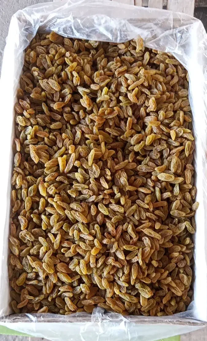 کشمش سبز امساله|خوردنی و آشامیدنی|کرج, نوروزآباد|دیوار