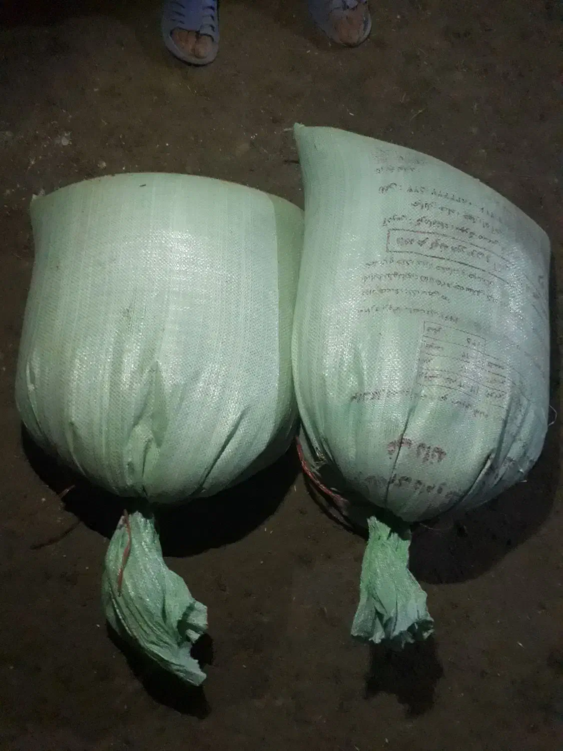 بذر‌گندم‌آبی|عمده‌فروشی|بیلوار, |دیوار