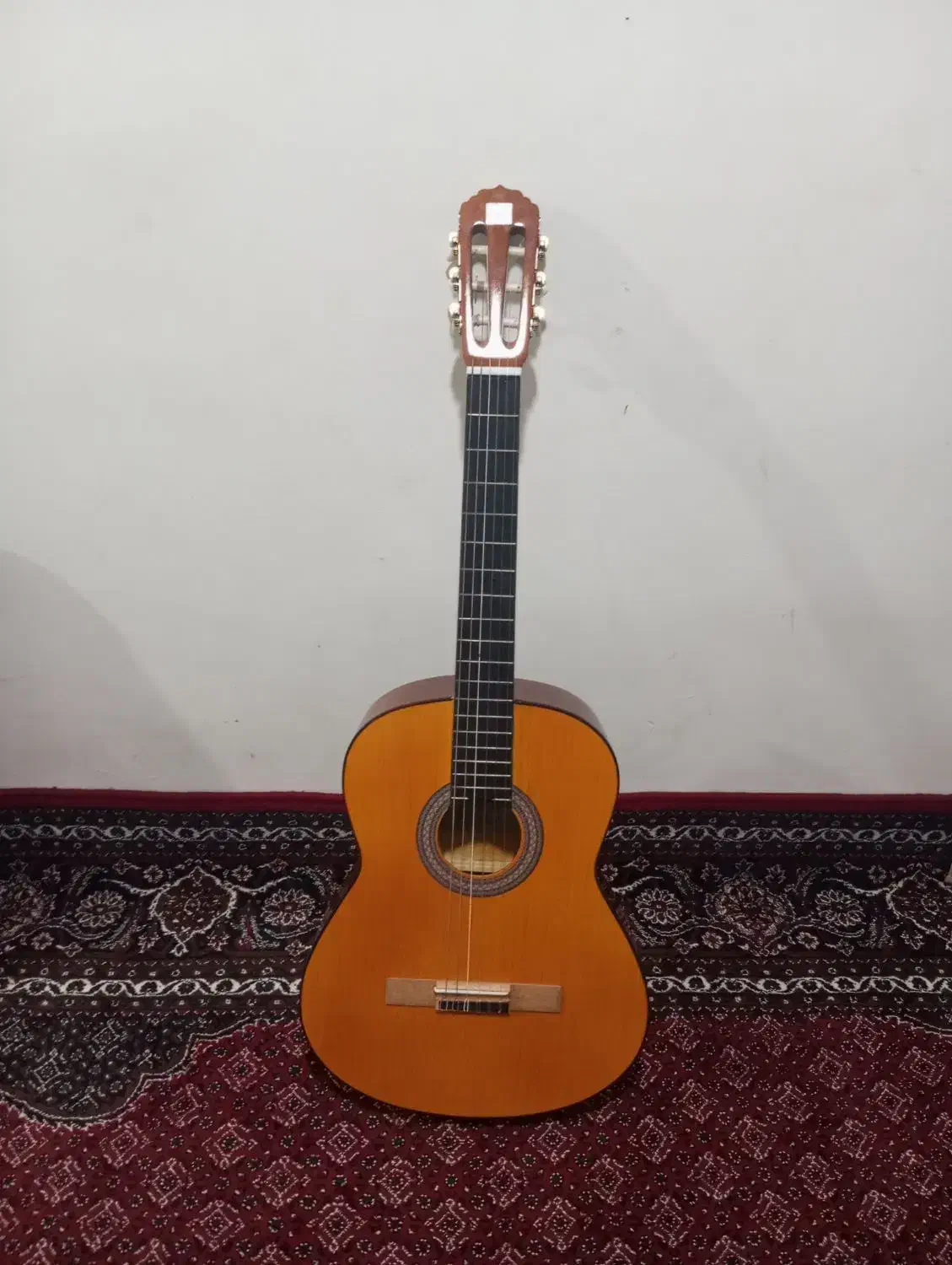 گیتار دیامون|گیتار، بیس، امپلیفایر|زنجان, |دیوار