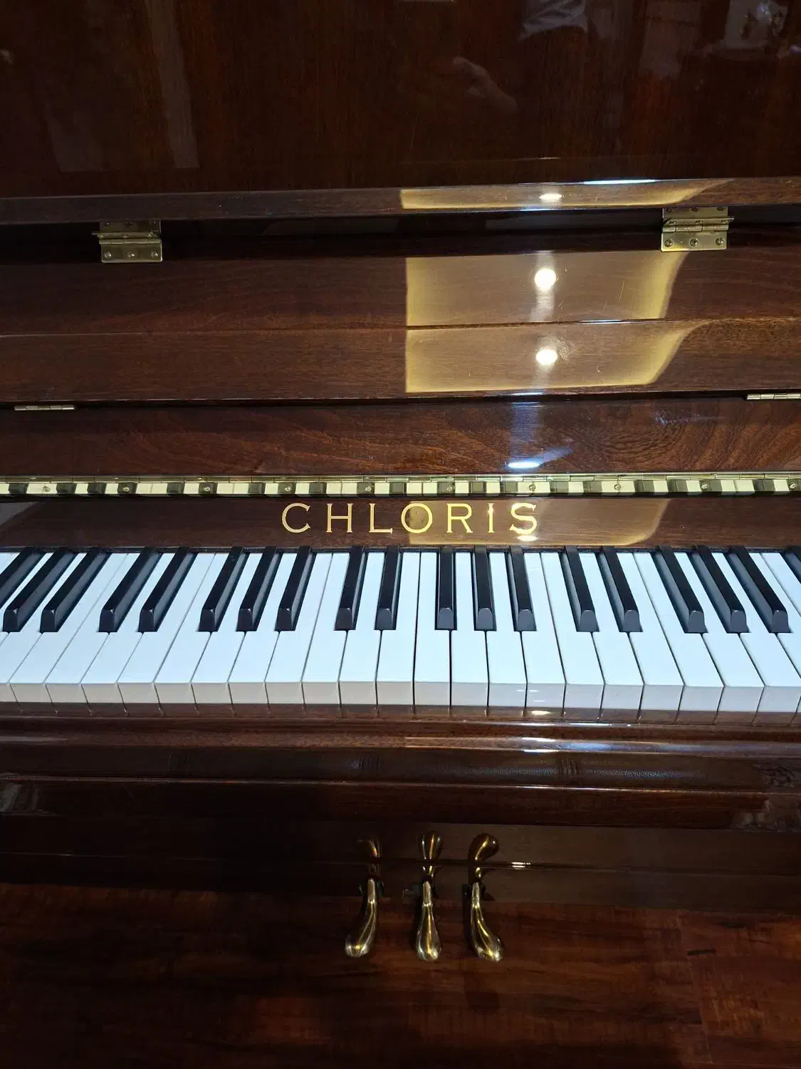 پیانو آکوستیک|پیانو، کیبورد، آکاردئون|مشهد, شهید فرامرز عباسی|دیوار