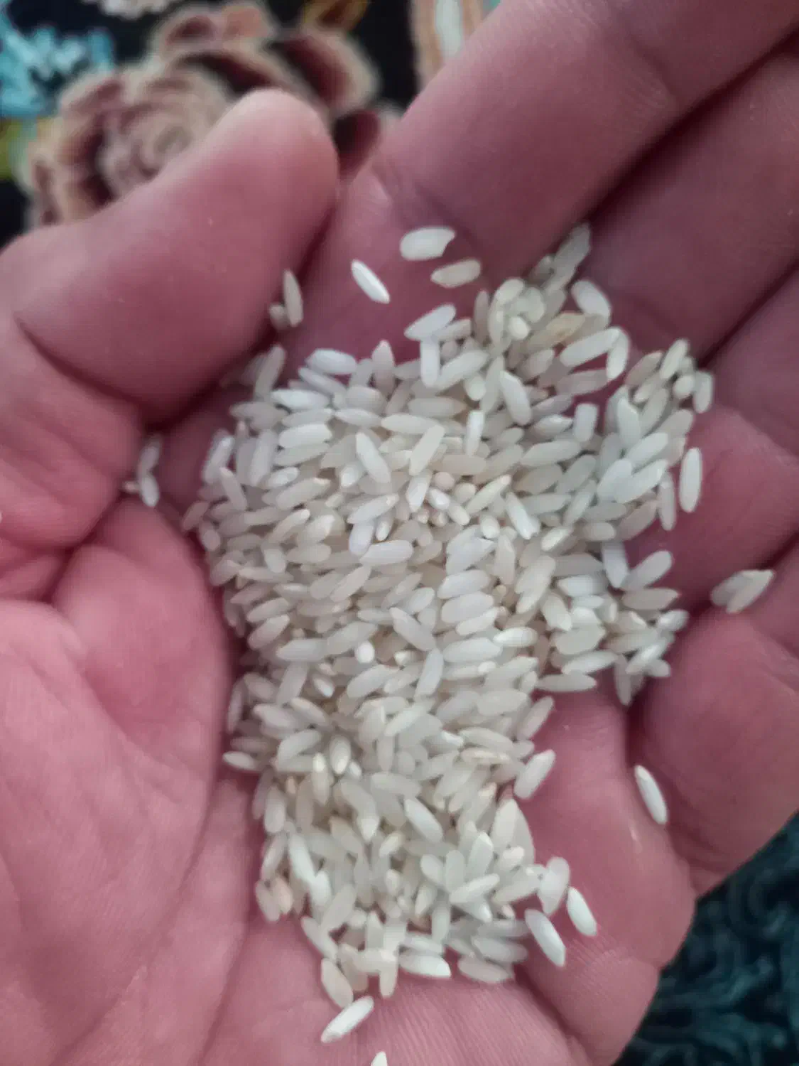 برنج محلی  خوش پخت  خوش  طعم  عطری|خوردنی و آشامیدنی|صحنه, |دیوار