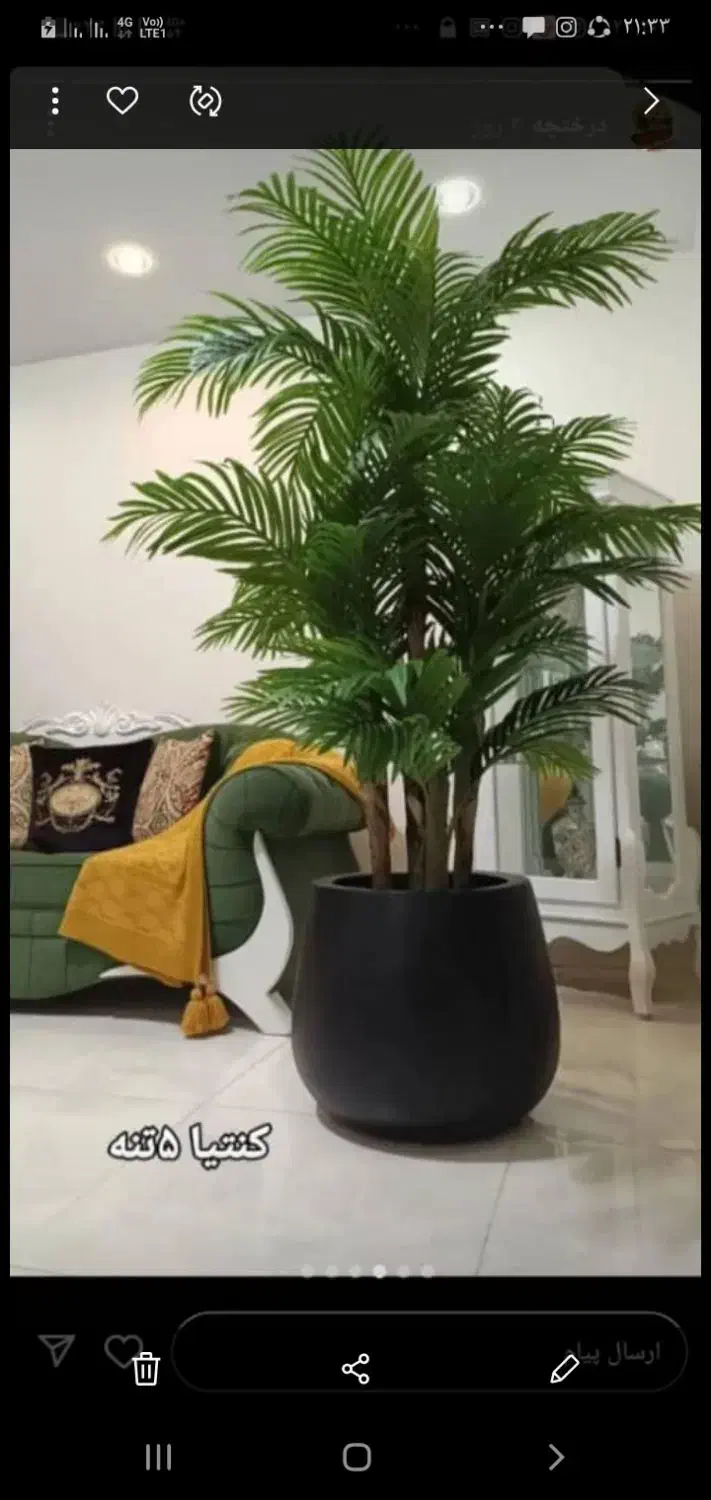 نخل مسافر درختچه|گل مصنوعی|تهران, مشیریه|دیوار