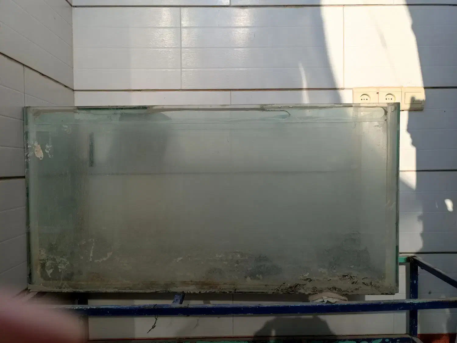 آکواریوم|ماهی|رامهرمز, |دیوار