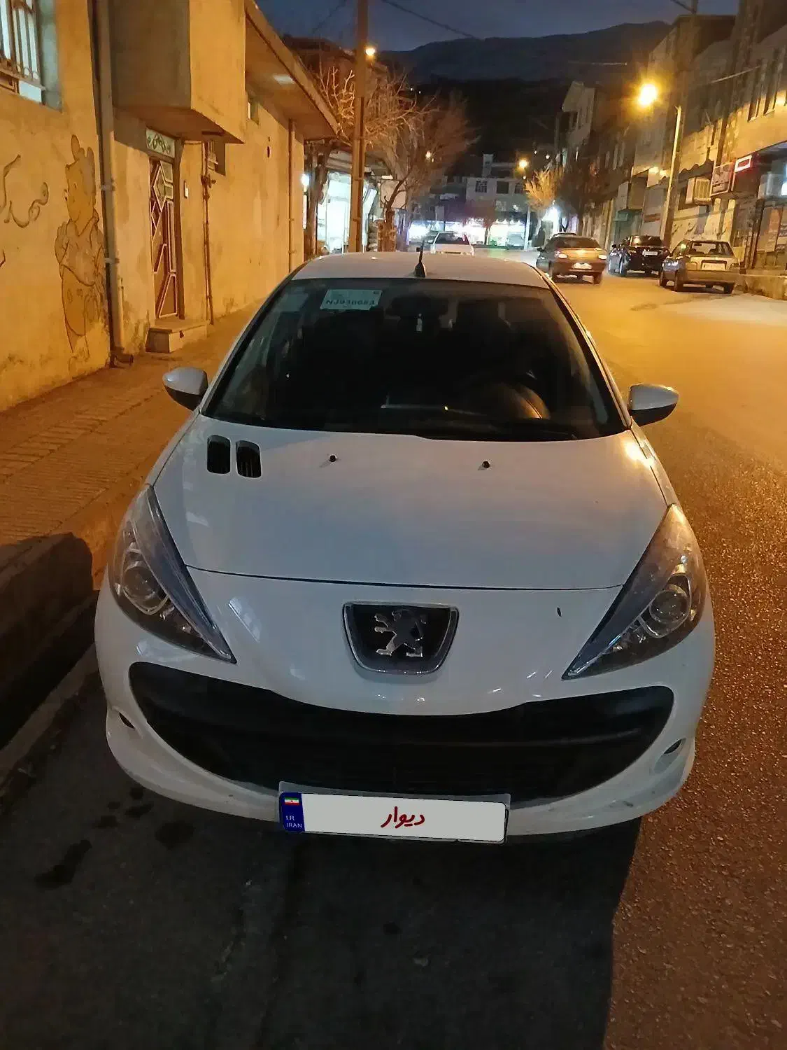 ۲۰۷سقف فلزtu5|خودرو سواری و وانت|دورود, |دیوار