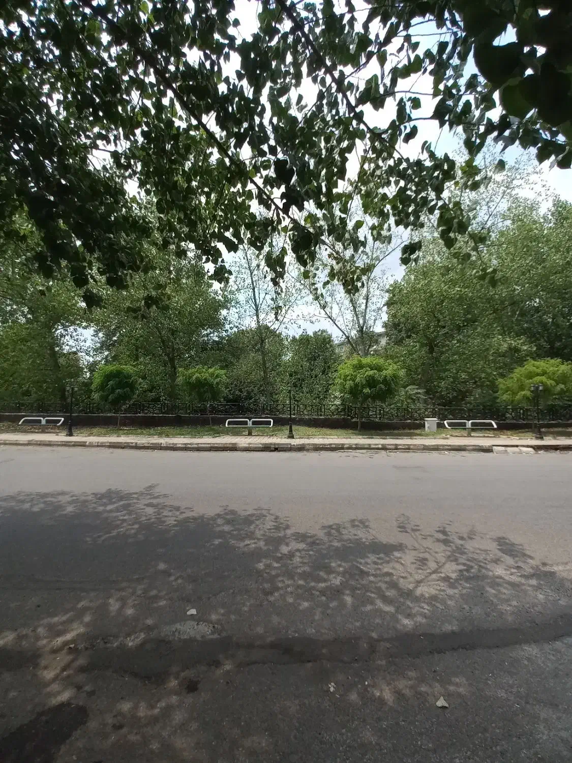 زمین / تجاری / مسکونی / ۴هکتاری / انصاری|فروش زمین و ملک کلنگی|رشت, منظریه|دیوار