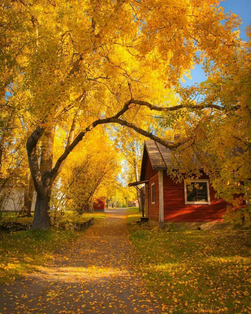 نیازمند وام|فعالیت داوطلبانه تحقیقاتی|کرمان, |دیوار