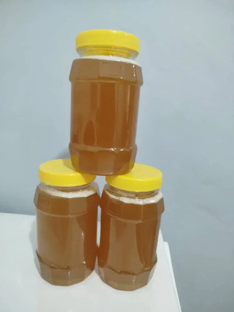 عسل کنار اصل به شرط تست|خوردنی و آشامیدنی|شاهینشهر, عطار|دیوار