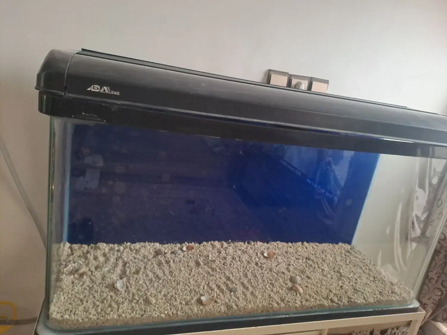 آکواریوم|لوازم جانبی حیوانات|قم, سراجه (۱۵ خرداد)|دیوار