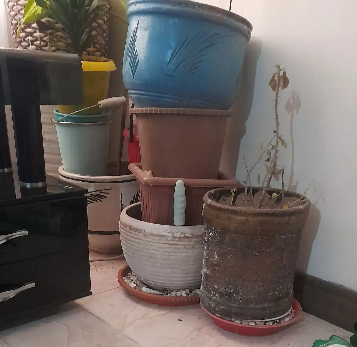 گلدان پلاستیکی و سفالی ۱۴ عدد|گل و گیاه طبیعی|پاکدشت, شهرک امام رضا|دیوار