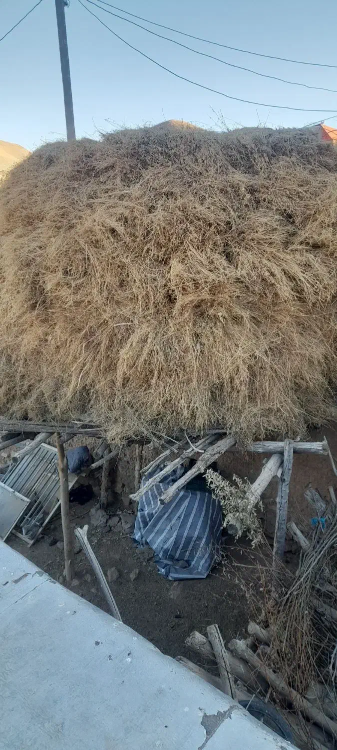 یونجه|حیوانات مزرعه|آوج, |دیوار