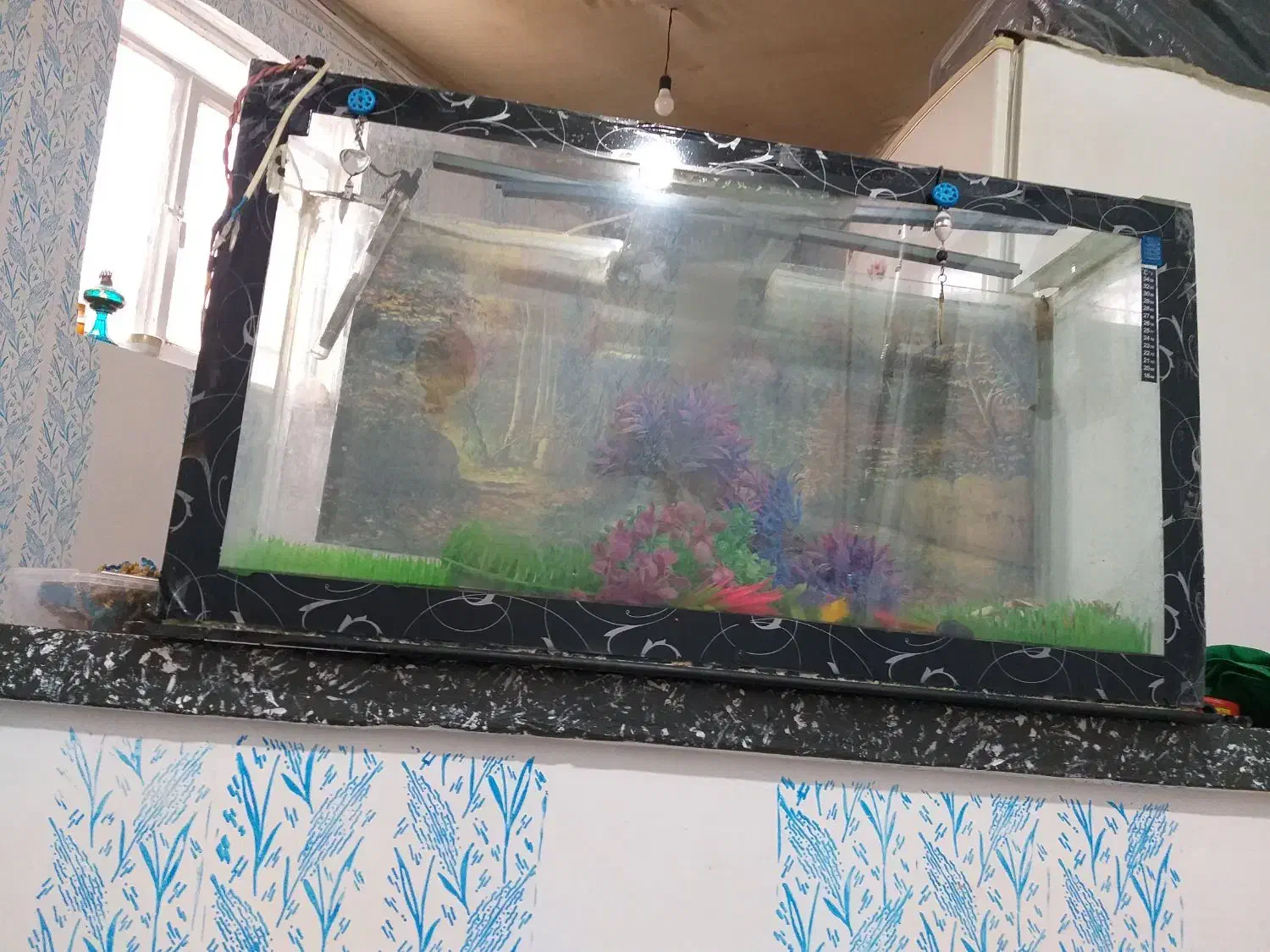 اکواریوم|ماهی|بروجرد, |دیوار